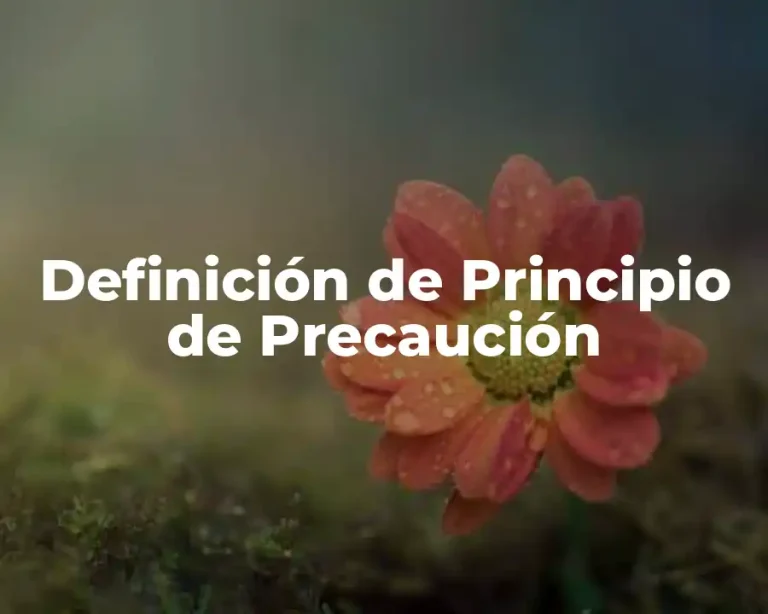 Definición de Principio de Precaución