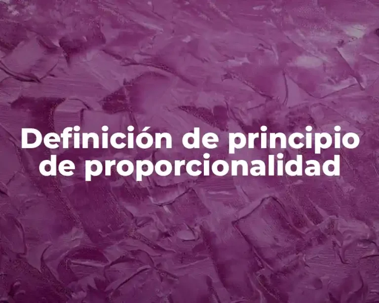 Definición de principio de proporcionalidad