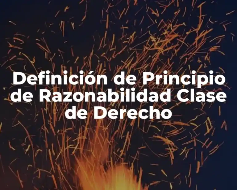 Definición de Principio de Razonabilidad Clase de Derecho