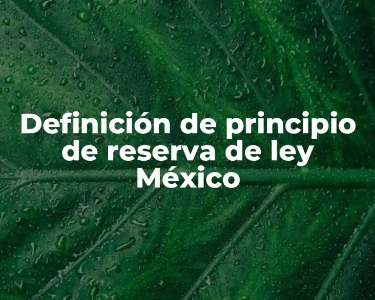 Definición de principio de reserva de ley México