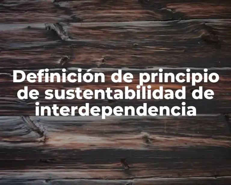 Definición de principio de sustentabilidad de interdependencia