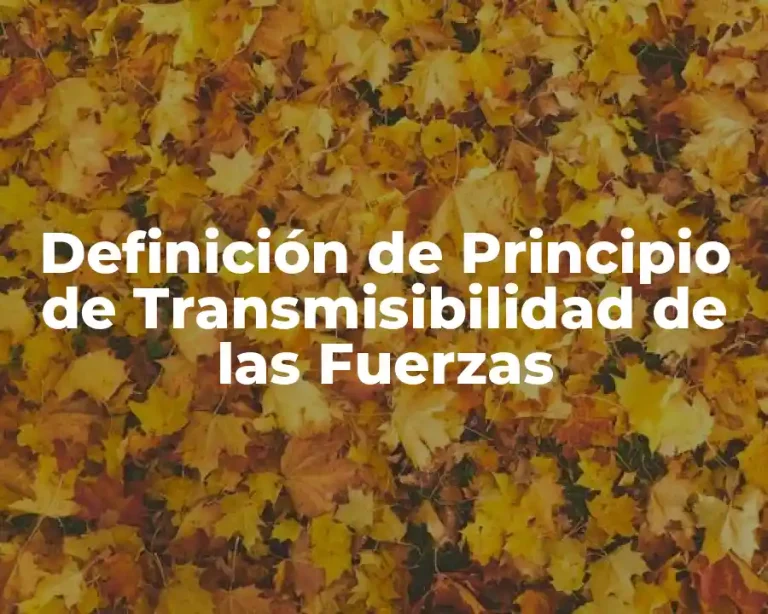 Definición de Principio de Transmisibilidad de las Fuerzas