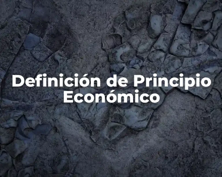 Definición de Principio Económico