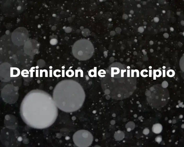 Definición de Principio