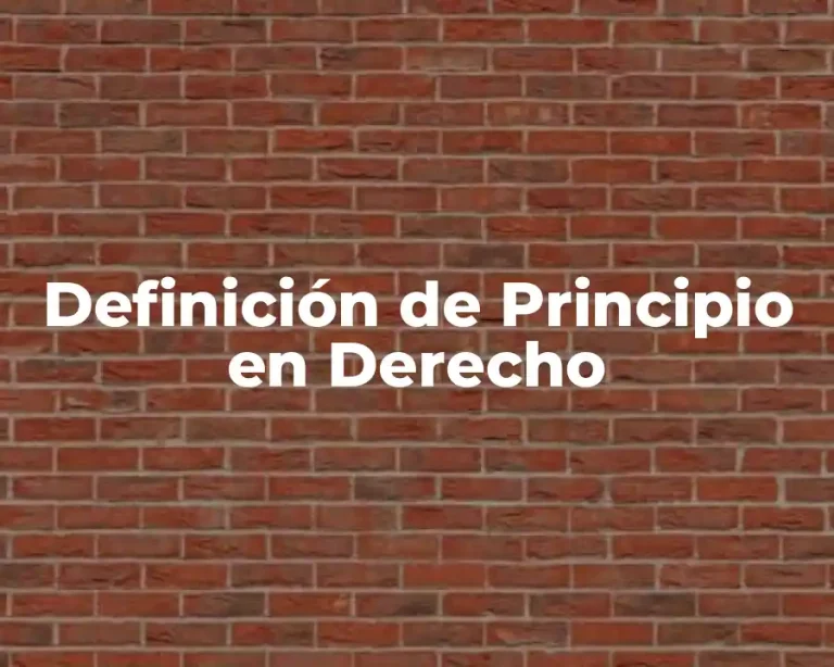 Definición de Principio en Derecho