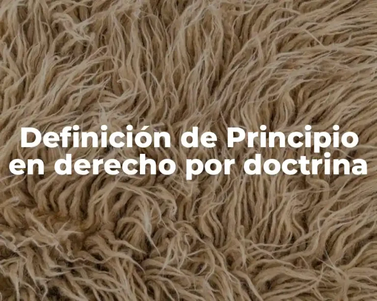 Definición de Principio en derecho por doctrina