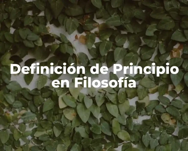 Definición de Principio en Filosofía