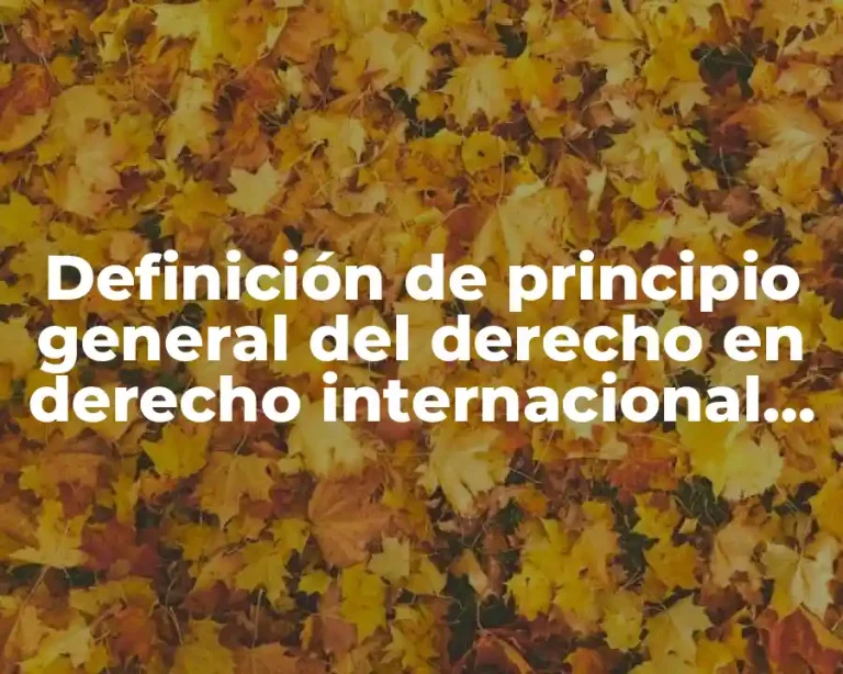 Definición de principio general del derecho en derecho internacional público