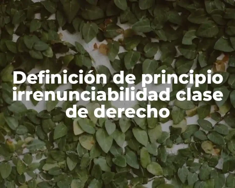 Definición de principio irrenunciabilidad clase de derecho