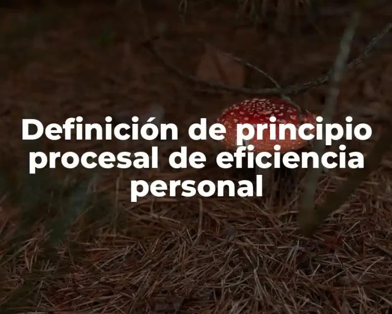 Definición de principio procesal de eficiencia personal