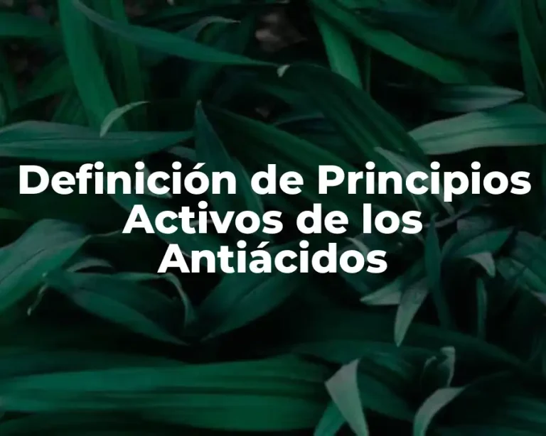 Definición de Principios Activos de los Antiácidos