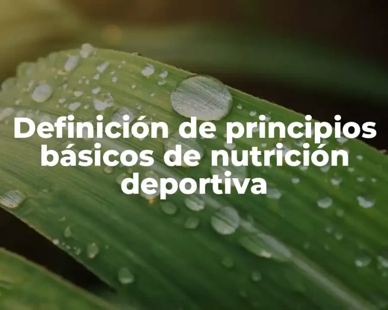 Definición de principios básicos de nutrición deportiva