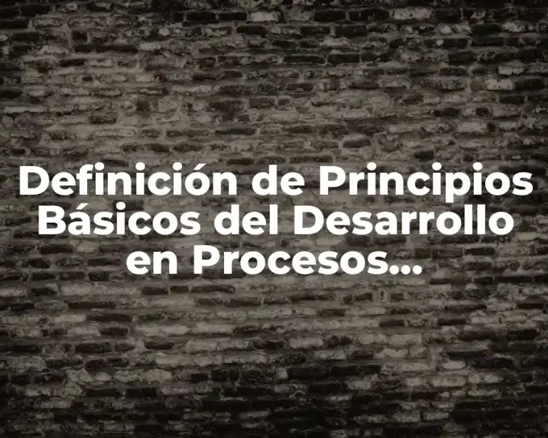 Definición de Principios Básicos del Desarrollo en Procesos Psicológicos