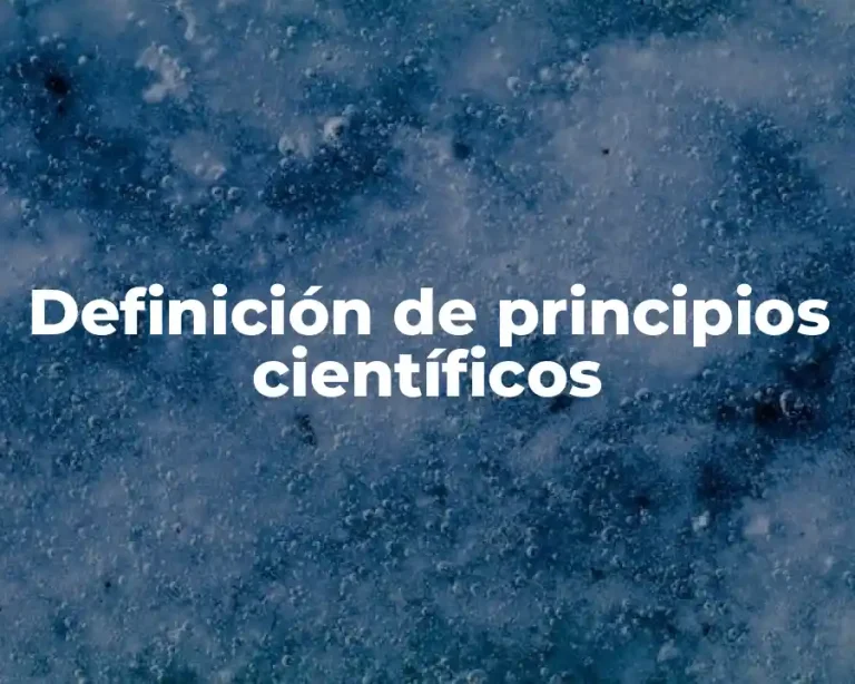 Definición de principios científicos