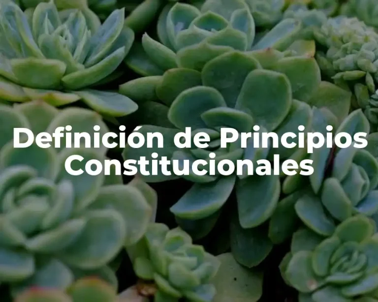 Definición de Principios Constitucionales