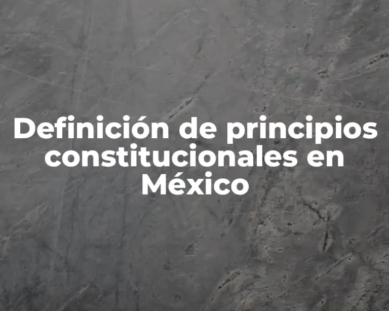 Definición de principios constitucionales en México