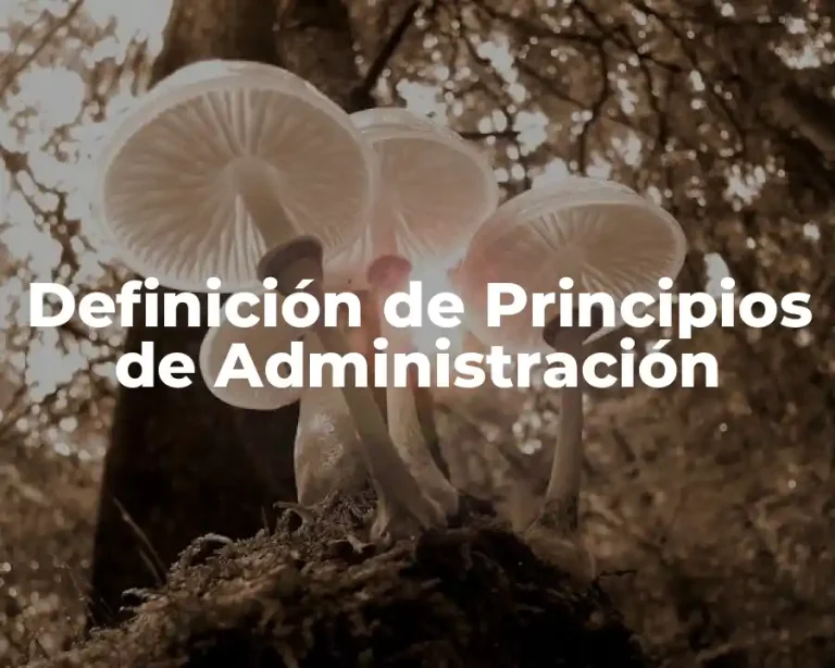 Definición de Principios de Administración