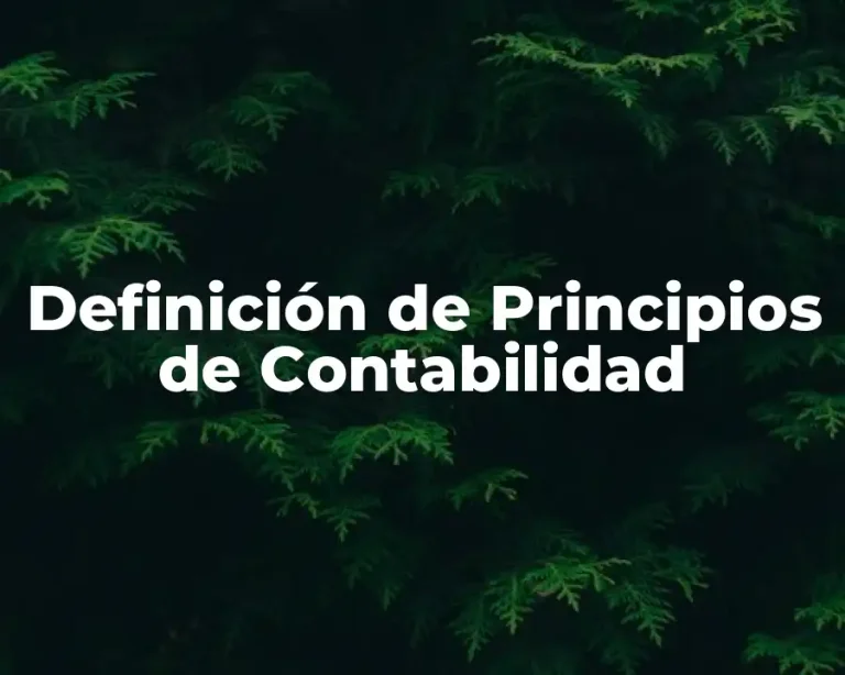 Definición de Principios de Contabilidad
