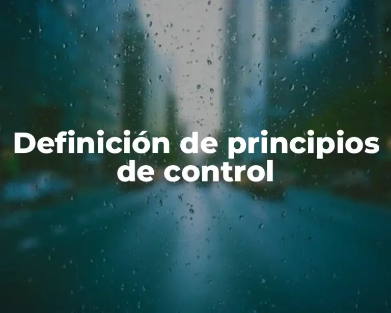 Definición de principios de control