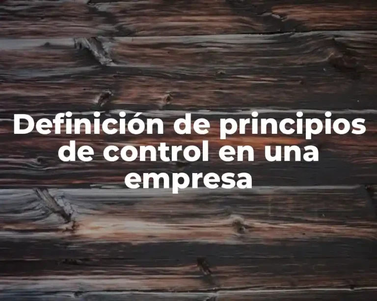 Definición de principios de control en una empresa
