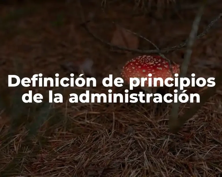 Definición de principios de la administración