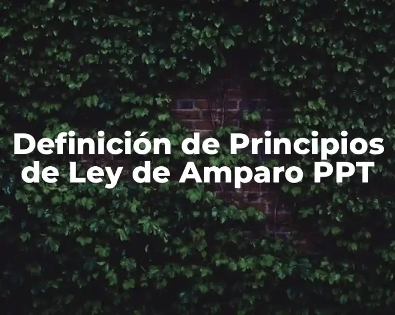 Definición de Principios de Ley de Amparo PPT