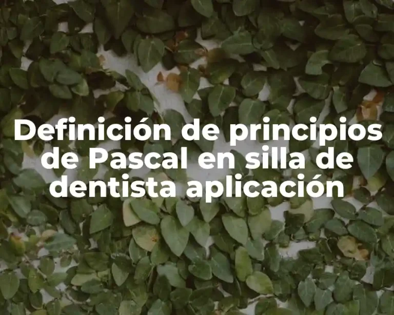 Definición de principios de Pascal en silla de dentista aplicación