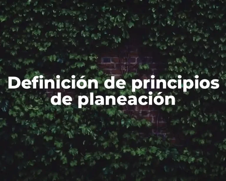 Definición de principios de planeación