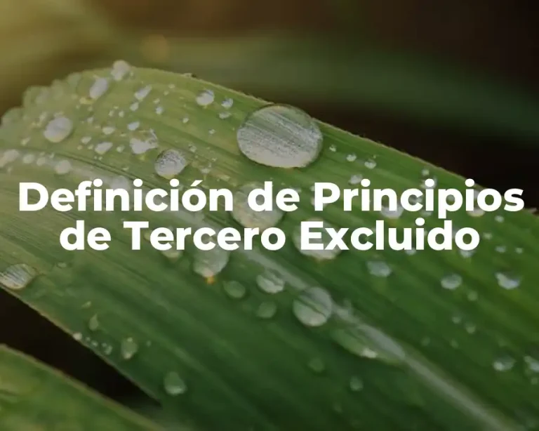 Definición de Principios de Tercero Excluido