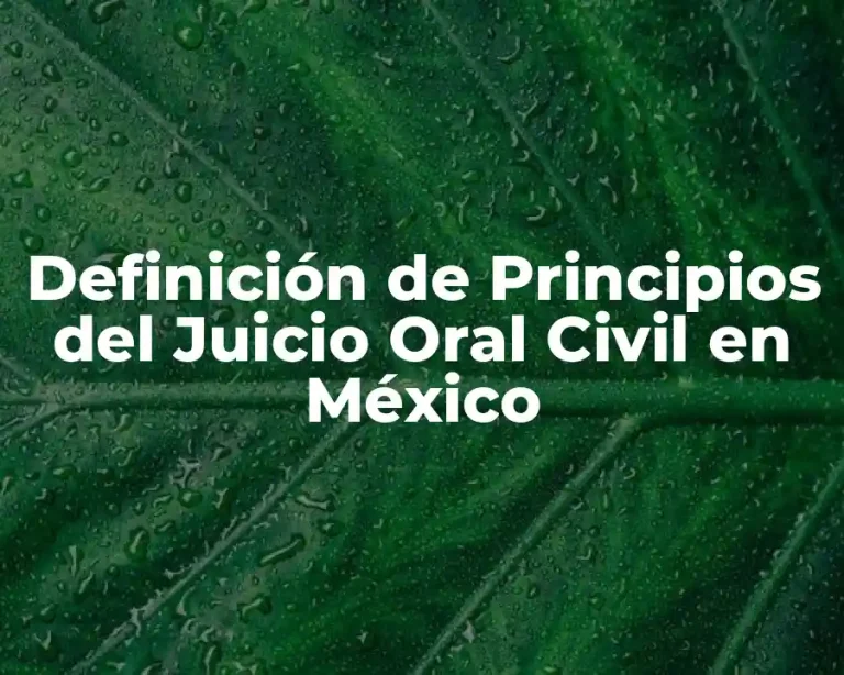Definición de Principios del Juicio Oral Civil en México