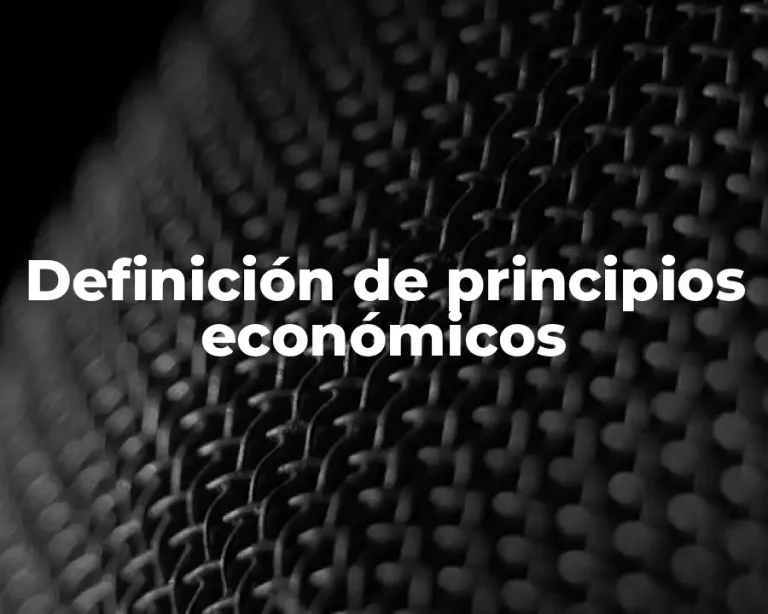 Definición de principios económicos