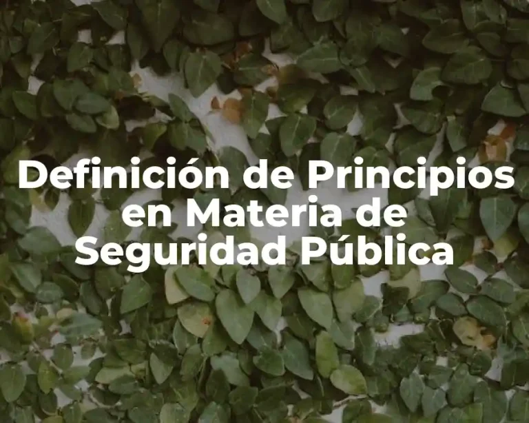 Definición de Principios en Materia de Seguridad Pública