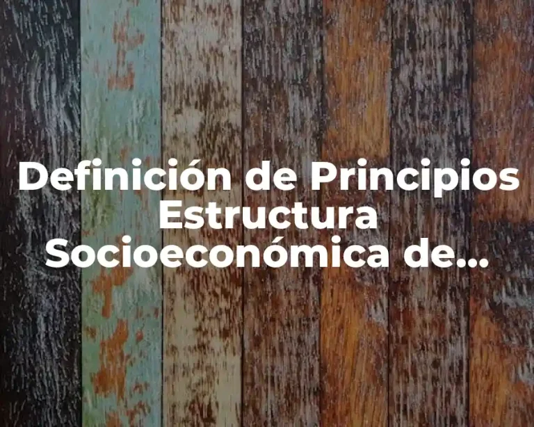 Definición de Principios Estructura Socioeconómica de México