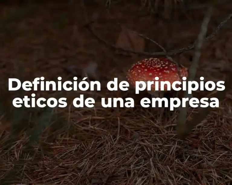 Definición de principios eticos de una empresa