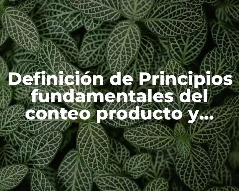 Definición de Principios fundamentales del conteo producto y adición