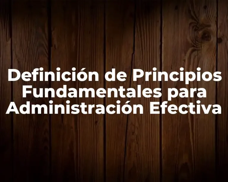Definición de Principios Fundamentales para Administración Efectiva
