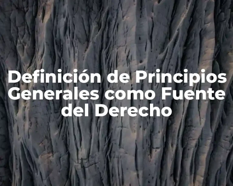 Definición de Principios Generales como Fuente del Derecho