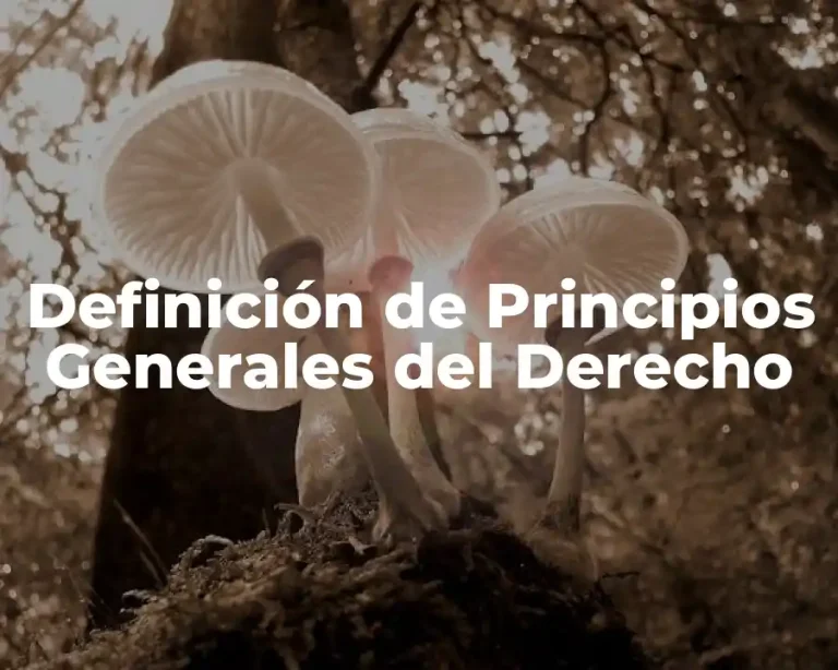 Definición de Principios Generales del Derecho