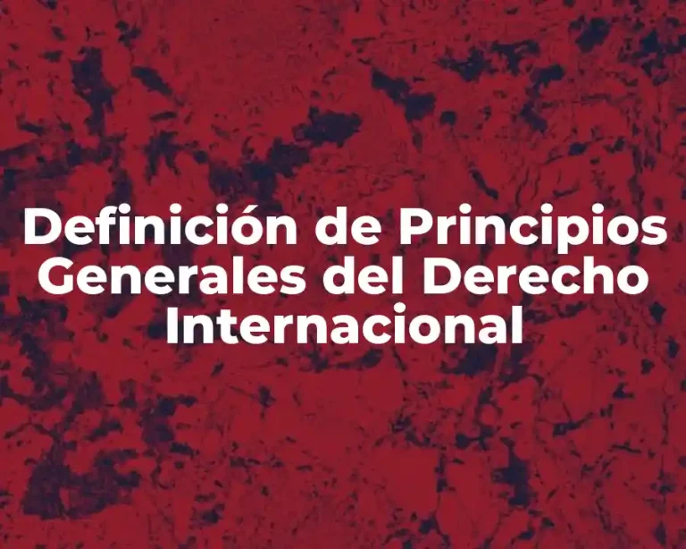 Definición de Principios Generales del Derecho Internacional