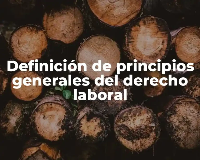 Definición de principios generales del derecho laboral