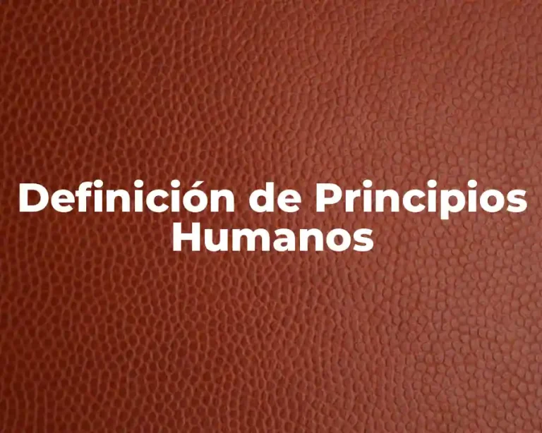 Definición de Principios Humanos