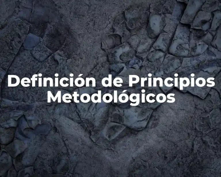 Definición de Principios Metodológicos
