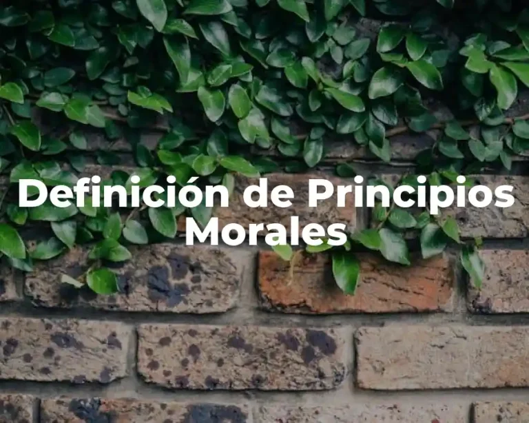 Definición de Principios Morales