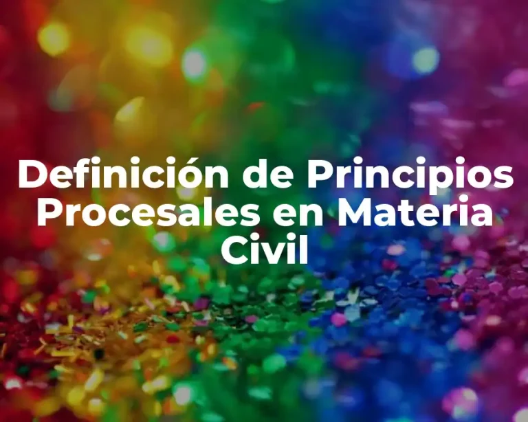 Definición de Principios Procesales en Materia Civil