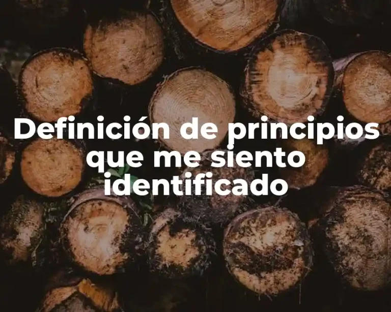 Definición de principios que me siento identificado