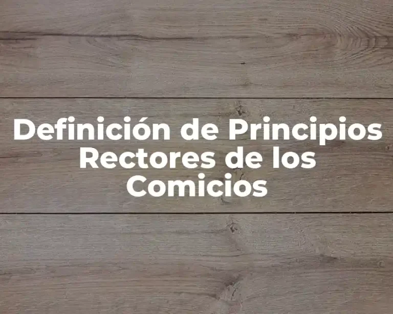Definición de Principios Rectores de los Comicios