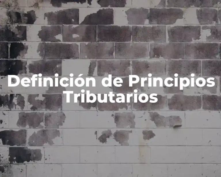 Definición de Principios Tributarios