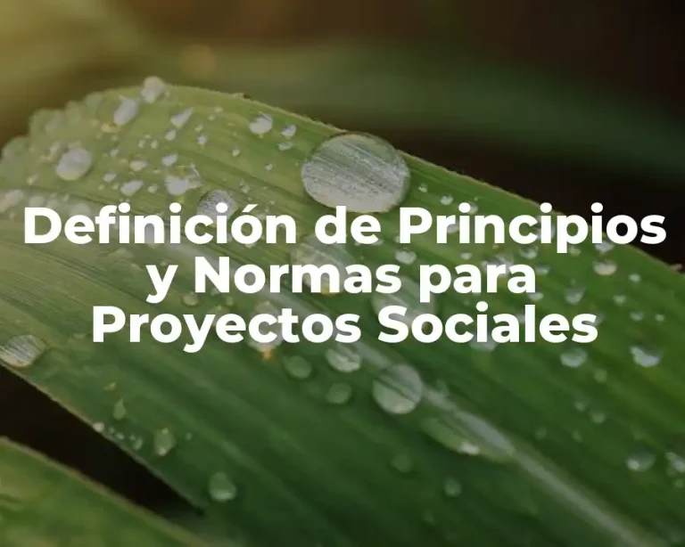 Definición de Principios y Normas para Proyectos Sociales