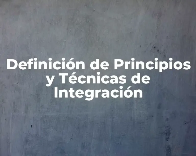 Definición de Principios y Técnicas de Integración