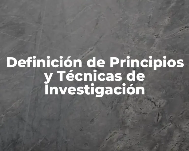 Definición de Principios y Técnicas de Investigación